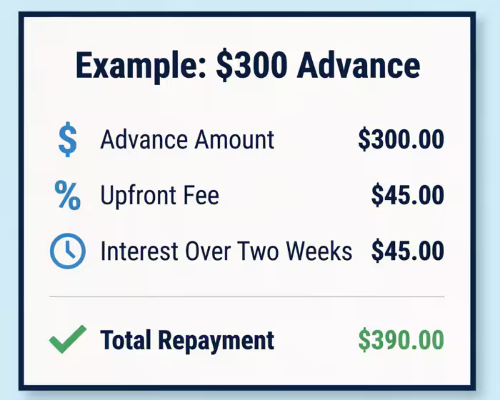 Receipt style breakdown showing advance amount, fee, interest, and total repayment line items