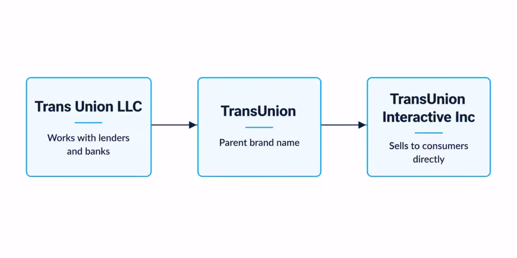 Three connected boxes showing the relationship between three related company entities
